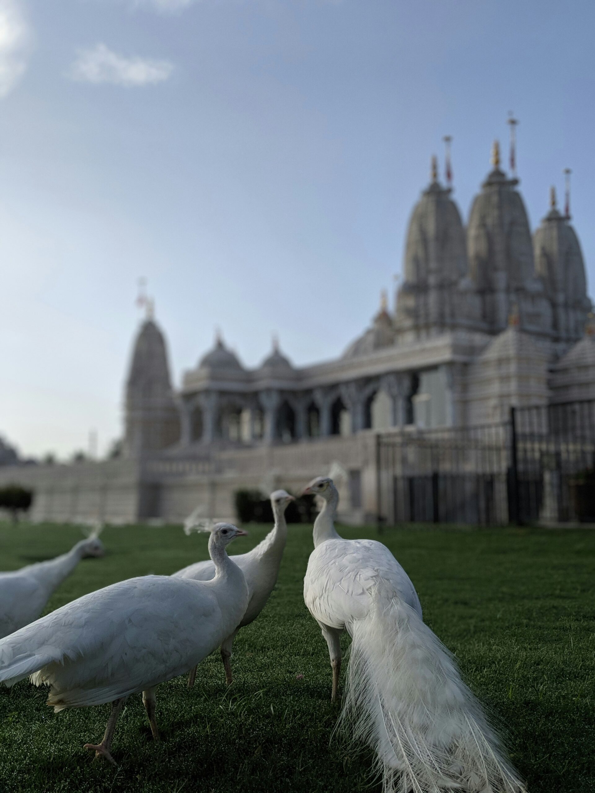 Dwarka