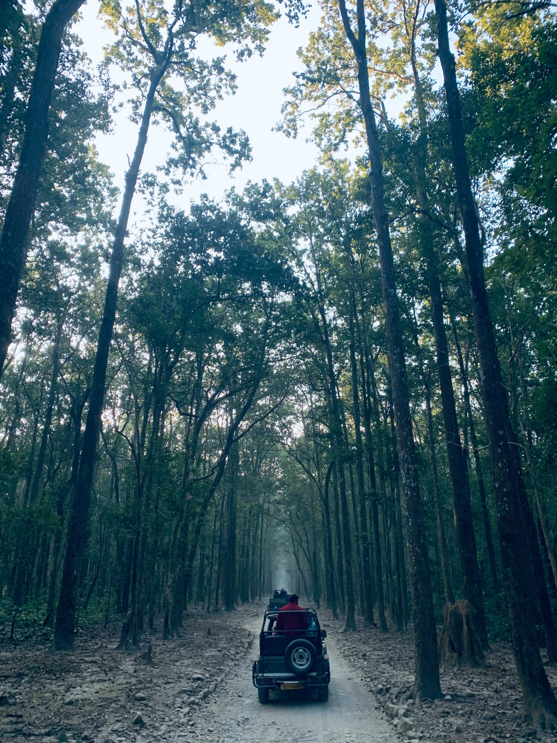 Jim Corbett