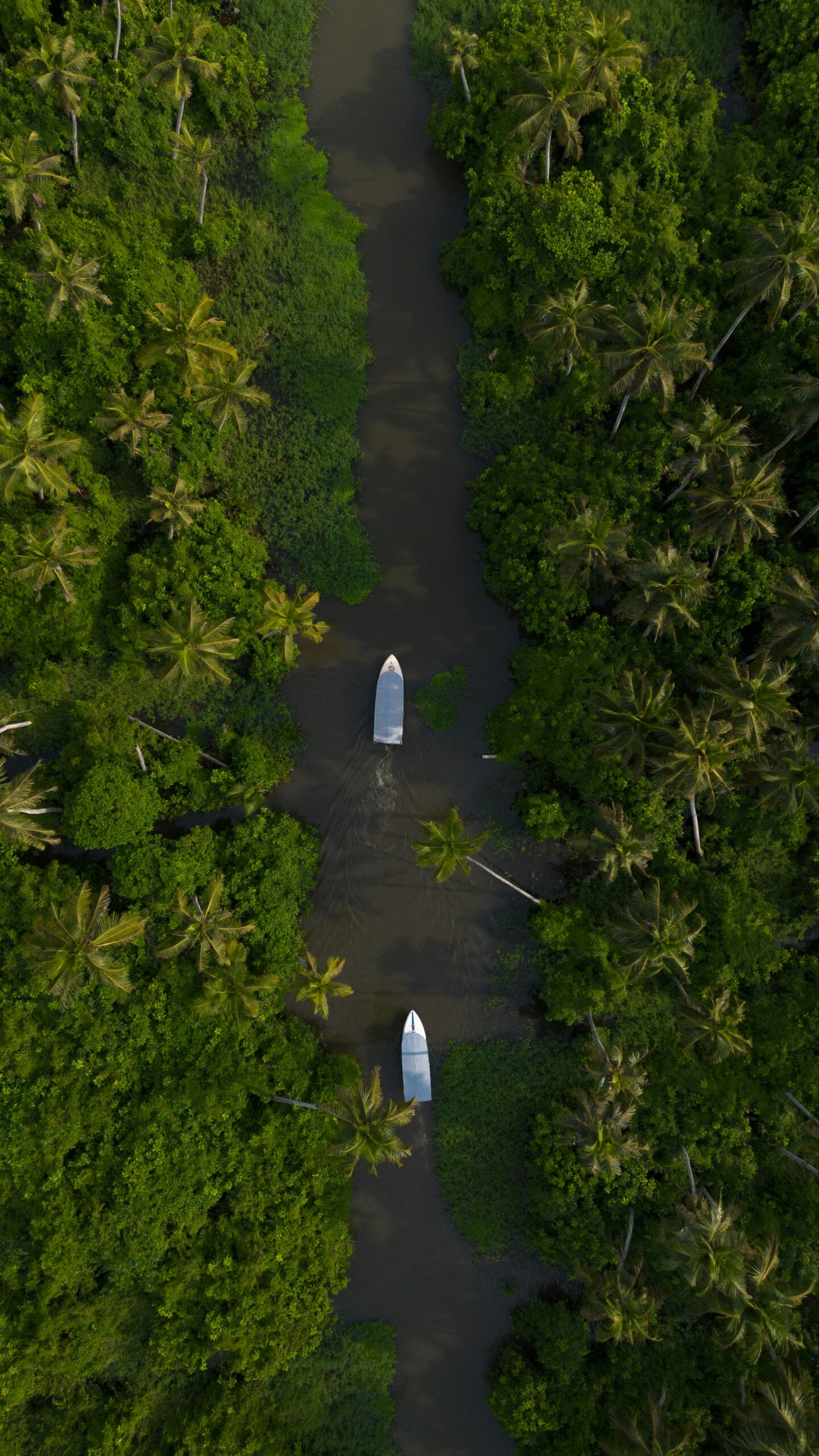 Alleppey