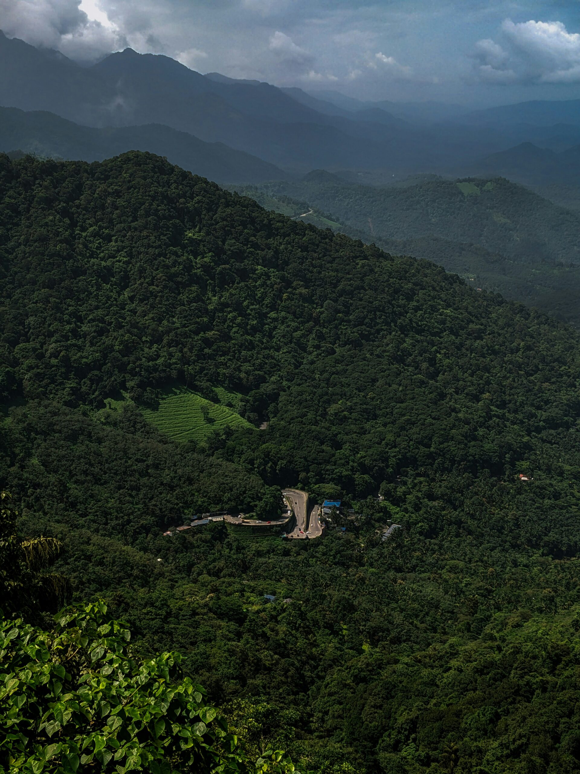 Wayanad