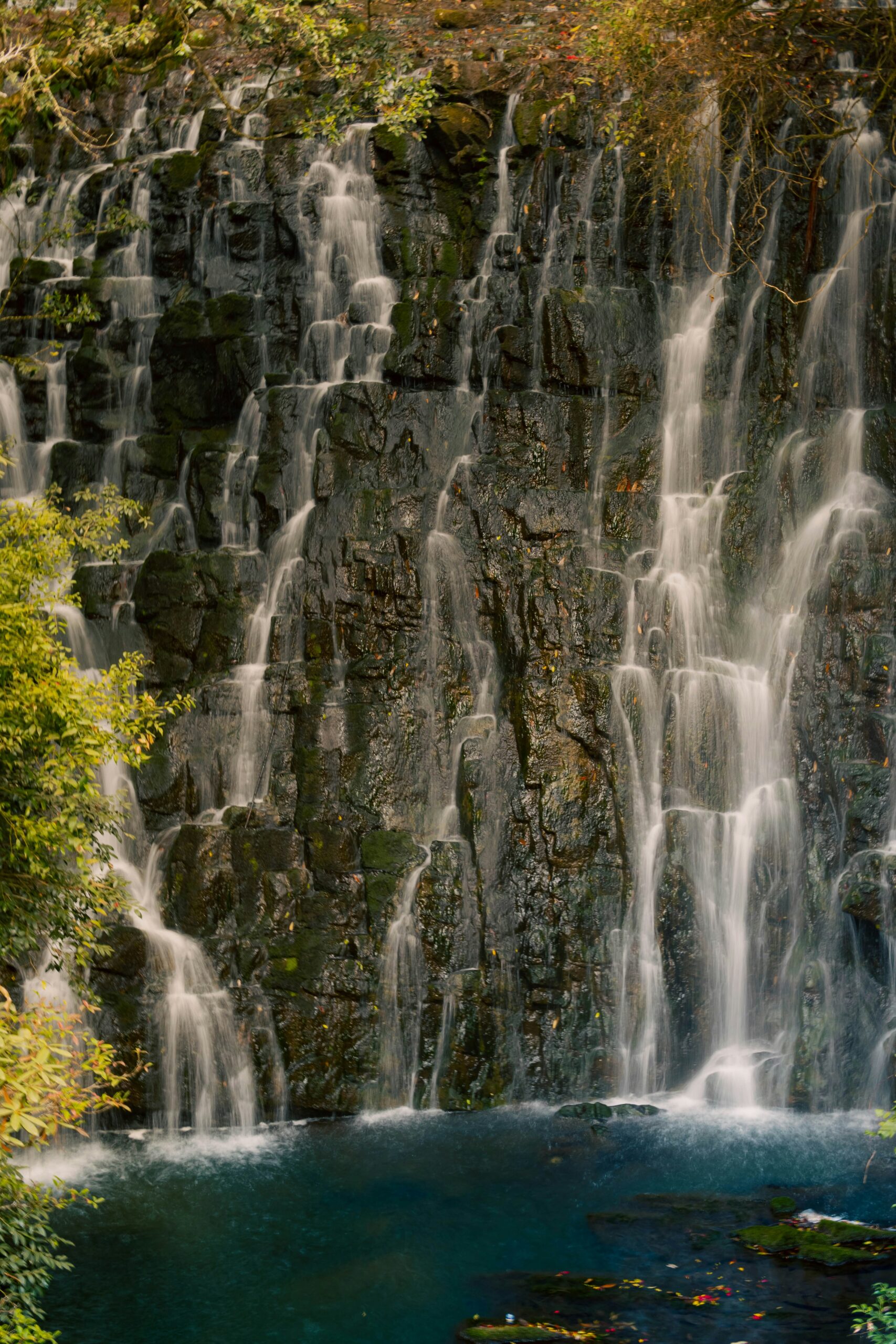 Meghalaya