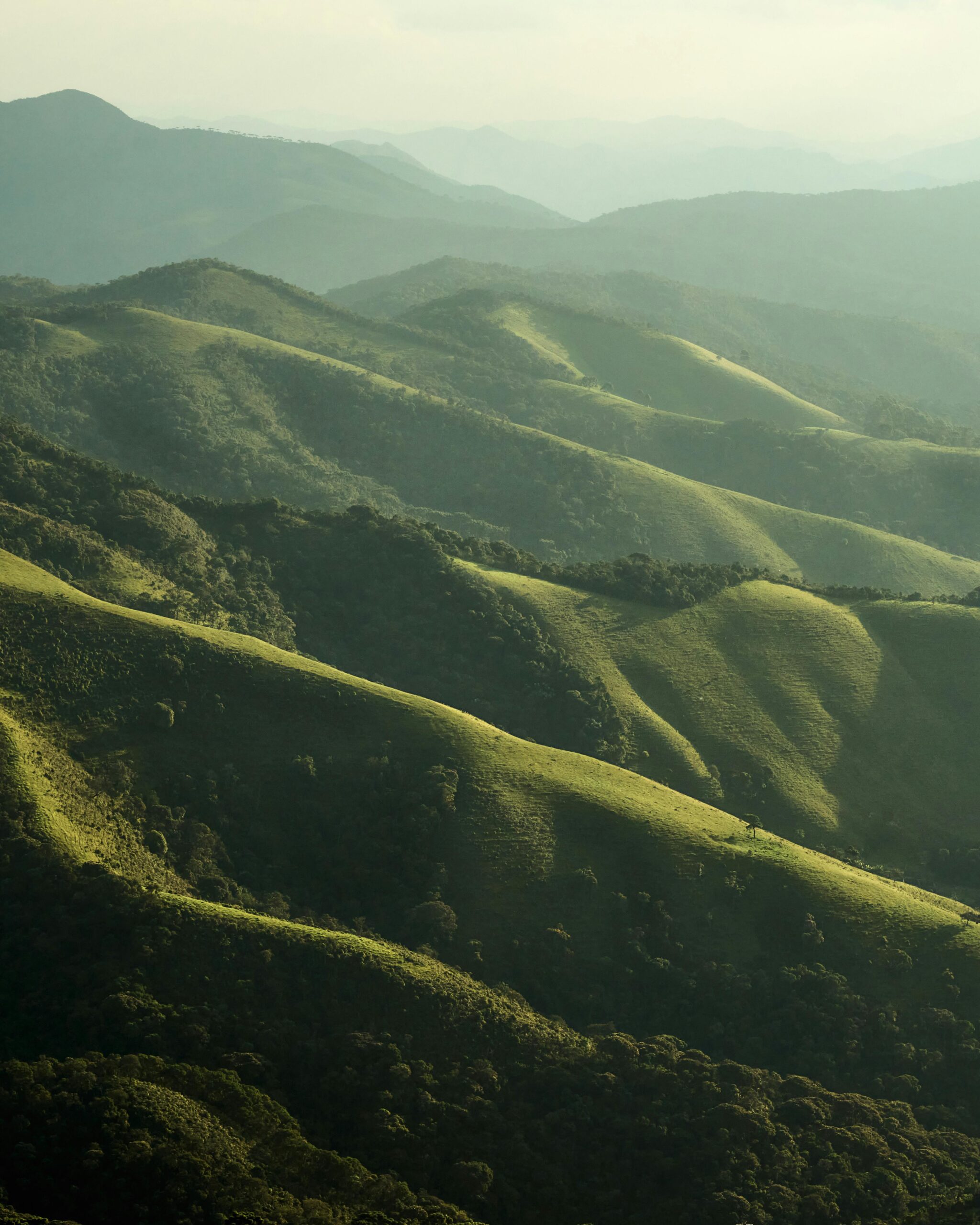 Coorg