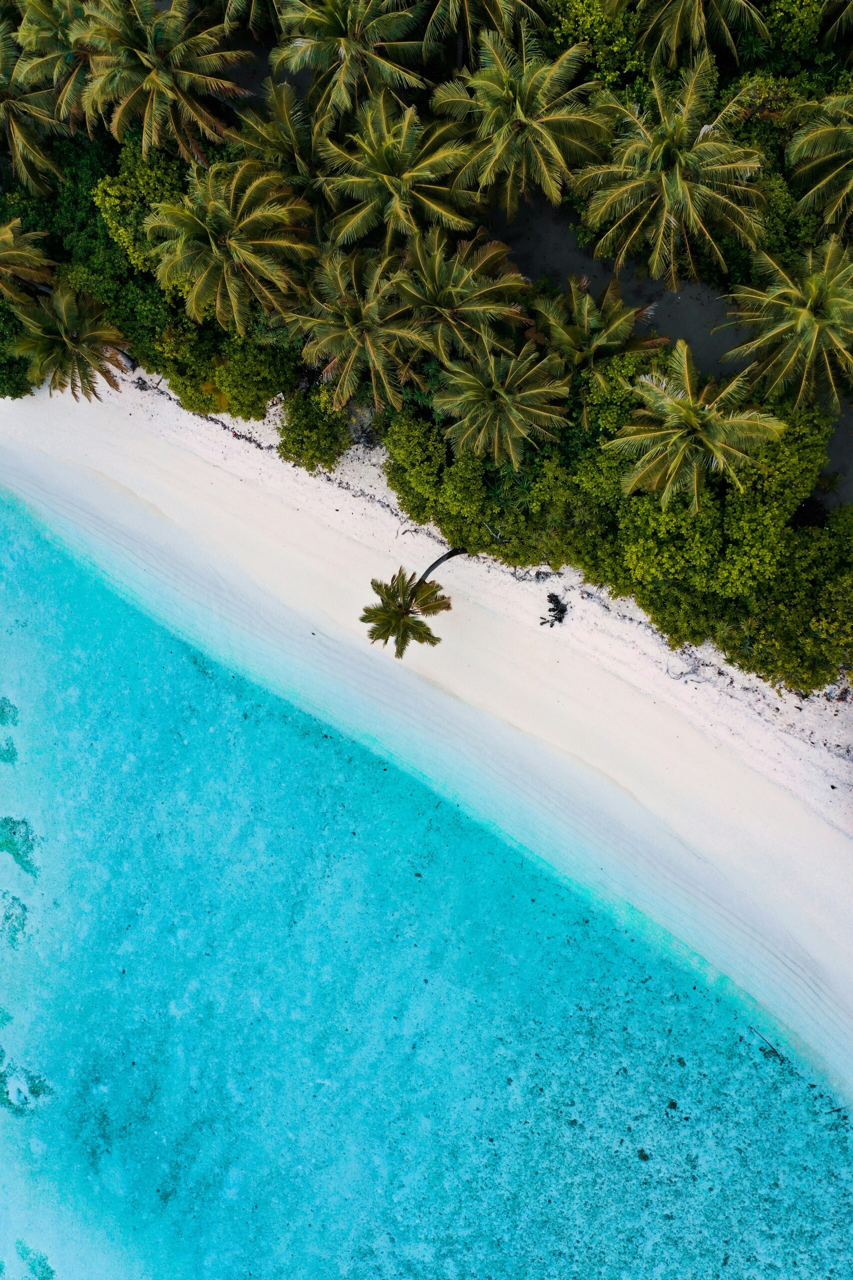 Lakshadweep